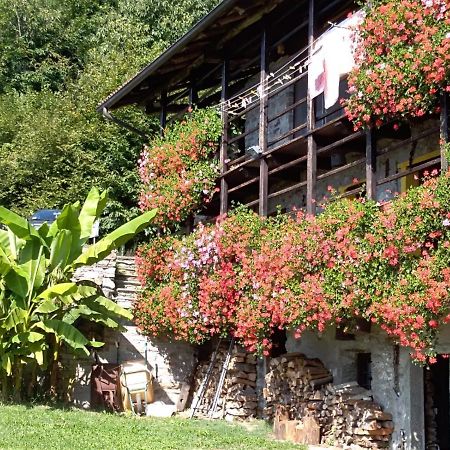 ואראלו B&B "La Baita Delle Coccinelle" מראה חיצוני תמונה